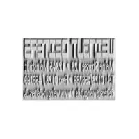 Stempelplatte Colop Expert 2300 Stempelplatte Colop Expert 2300