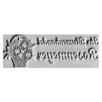 Ersatzplatte Colop Printer 50 Ersatzplatte Colop Printer 50