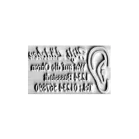 Stempelplatte Colop Classic Line 2100 Stempelplatte Colop Classic Line 2100